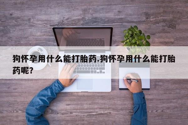 打胎药怎么购买狗怀孕用什么能打胎药.狗怀孕用什么能打胎药呢？