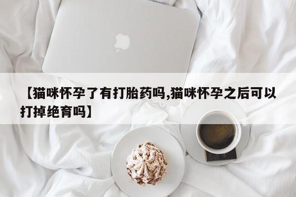 打胎药怎么购买【猫咪怀孕了有打胎药吗,猫咪怀孕之后可以打掉绝育吗】