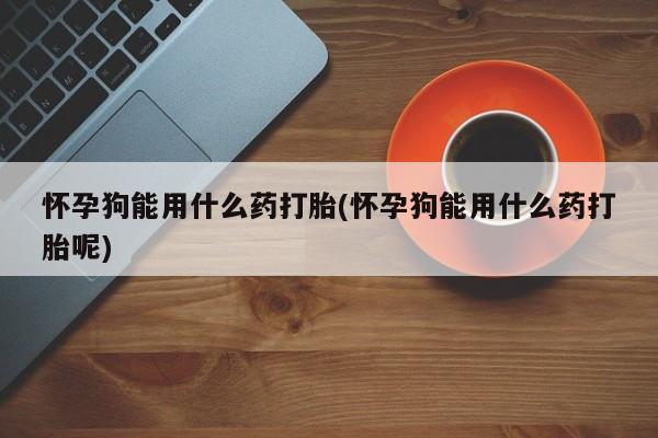 打胎药怎么购买怀孕狗能用什么药打胎(怀孕狗能用什么药打胎呢)